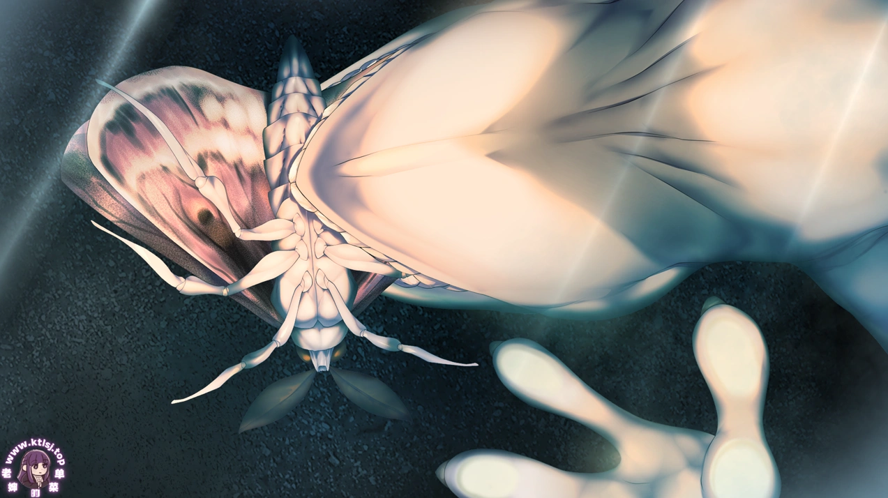 图片[6]-joi-老婶的菜单 - 仅收录精品的小站