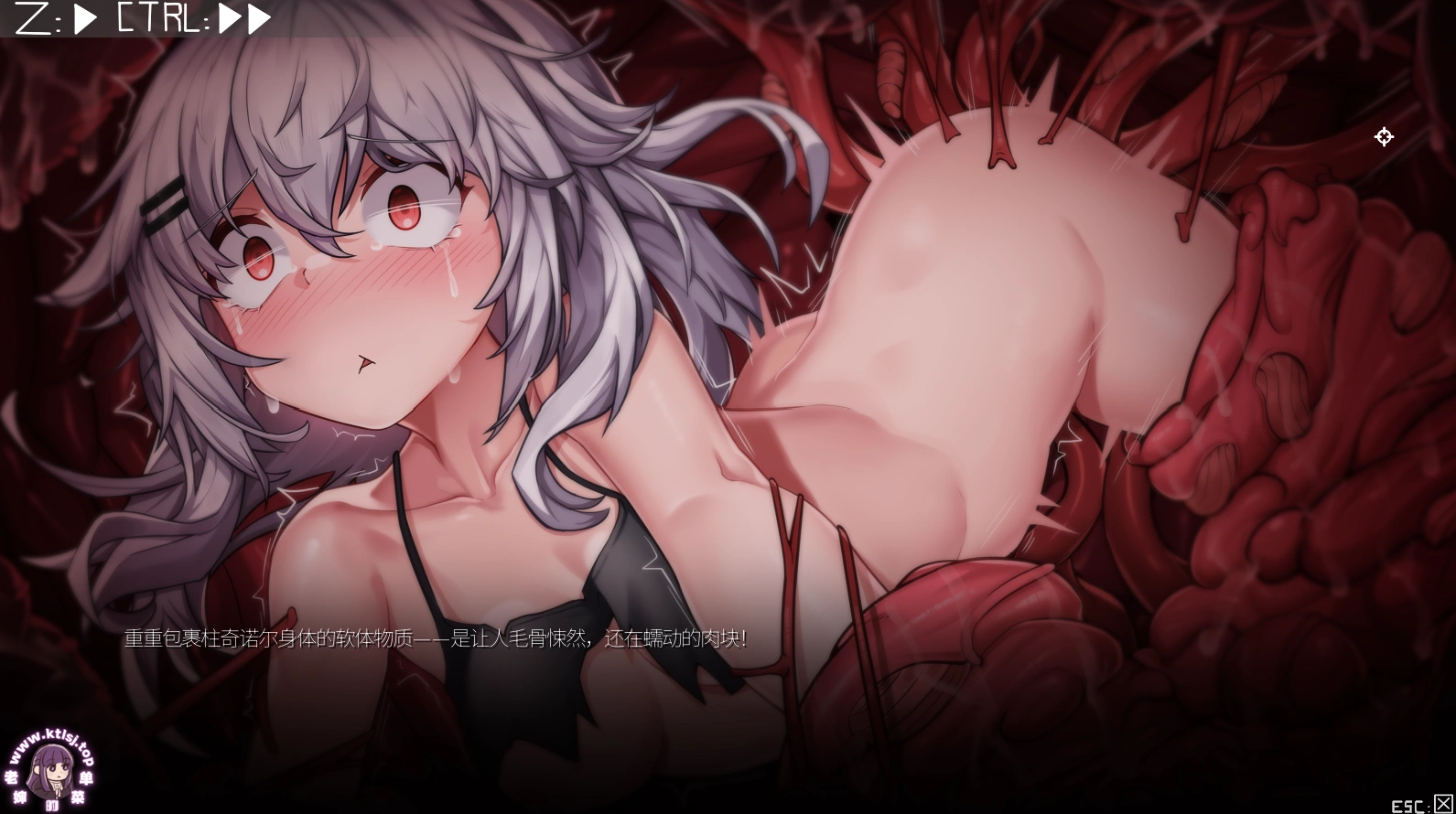 图片[6]-⑧·森海幻夢 Endless Forest Dream 1.12【PC 步兵】-老婶的菜单