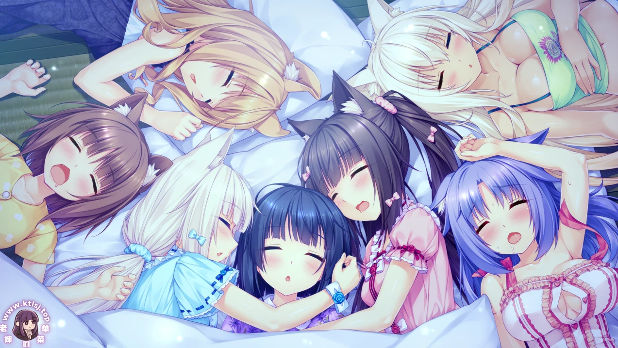 图片[1]-猫娘乐园 – NEKOPARA Vol.0 【PC 安卓】-老婶的菜单