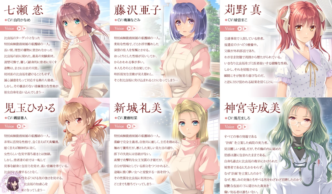 图片[1]-夜勤病栋 Remake【PC】-老婶的菜单