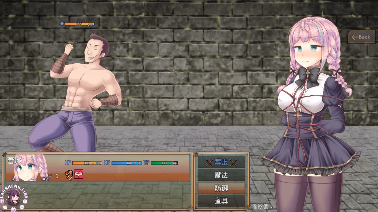 图片[1]-连续绝顶 Sister Maiden AI汉化【RPG PC 安卓】-老婶的菜单